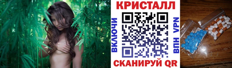 Купить закладки  Власиха  Amphetamine Розовый 