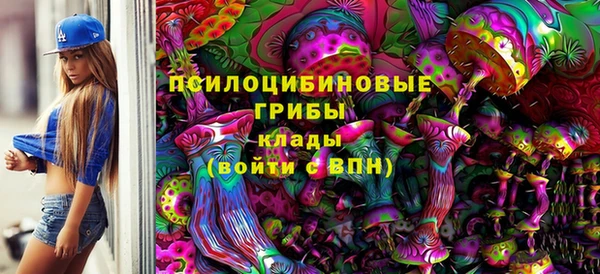 мдпв Бугульма