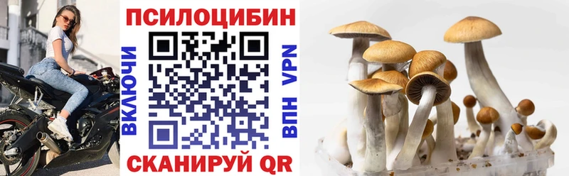 Купить где  Власиха  Псилоцибиновые грибы GOLDEN TEACHER 